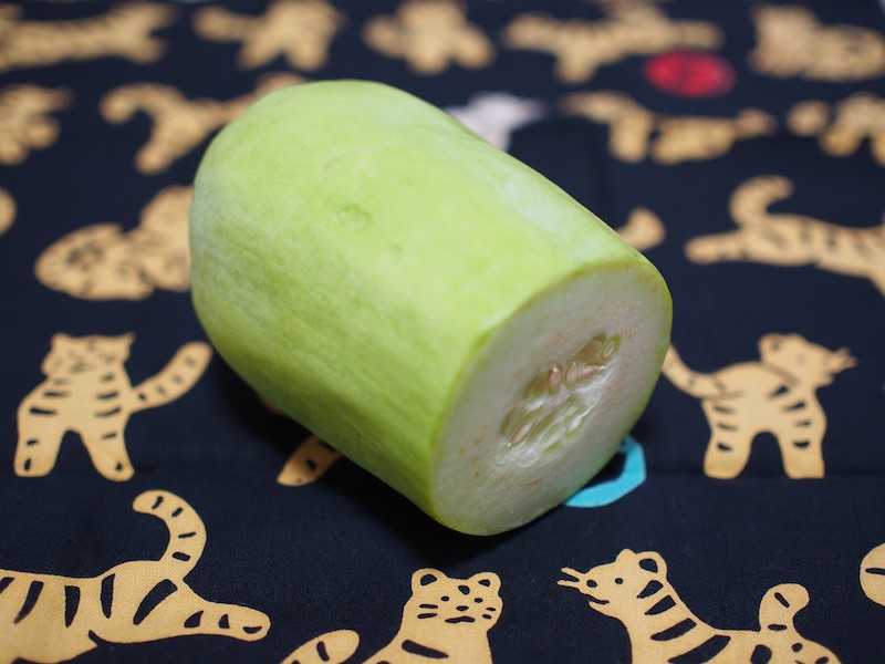 Section of <i>Cucumis melo</i>