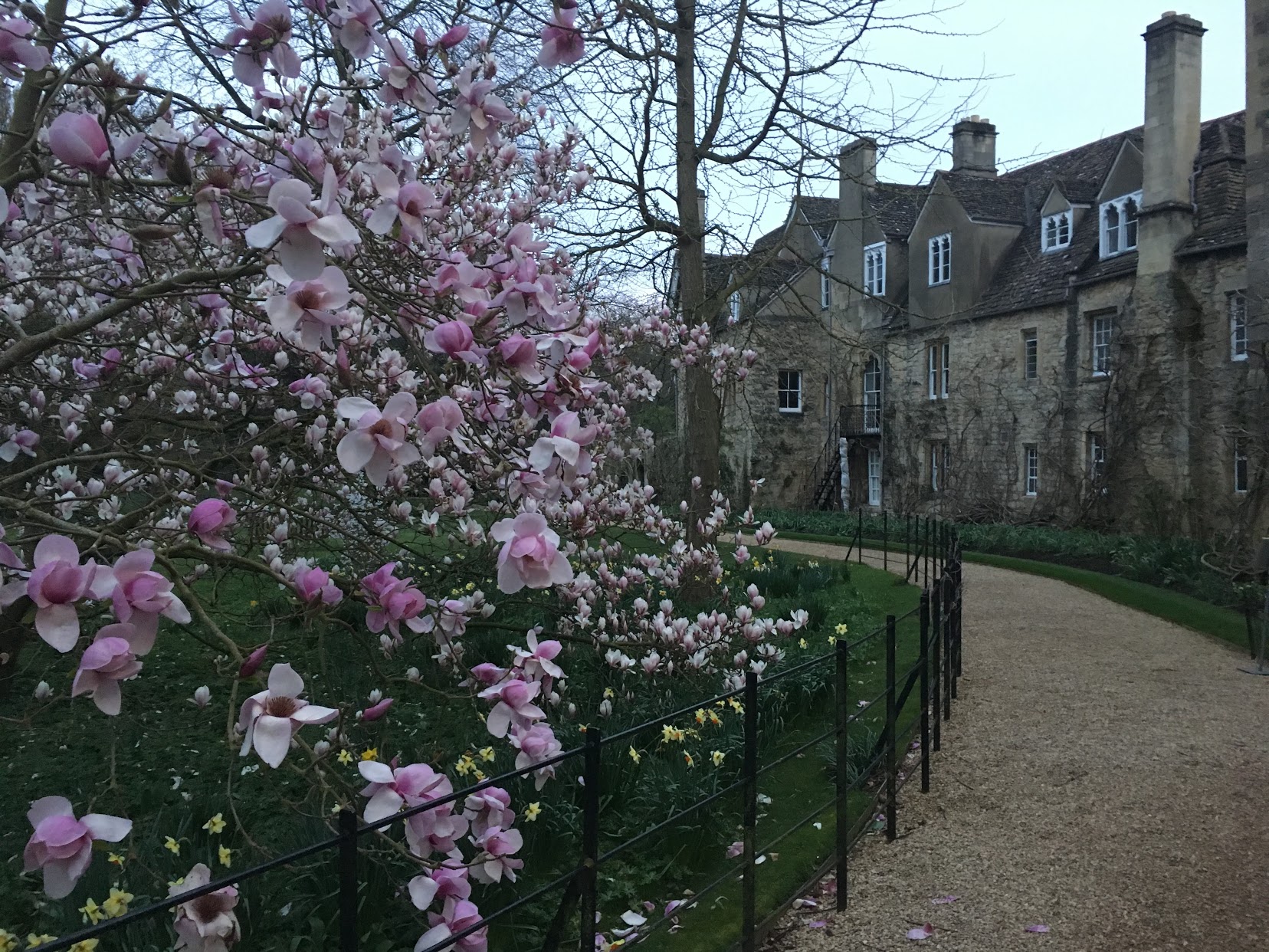 Spring garden of Worcester College