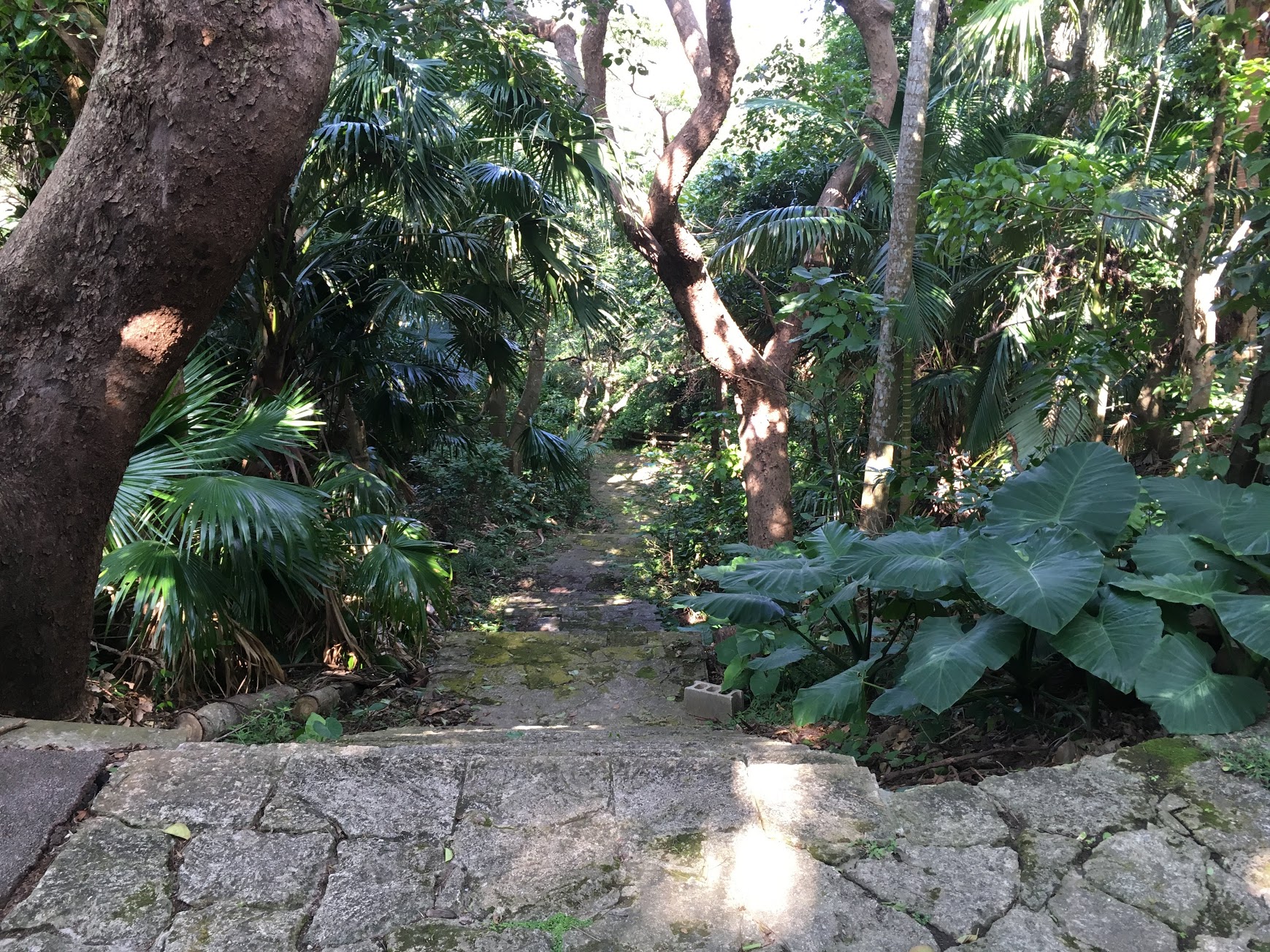 Sueyoshi park